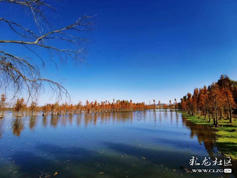 我家孩子天天玩游戏，怎么办游戏画面